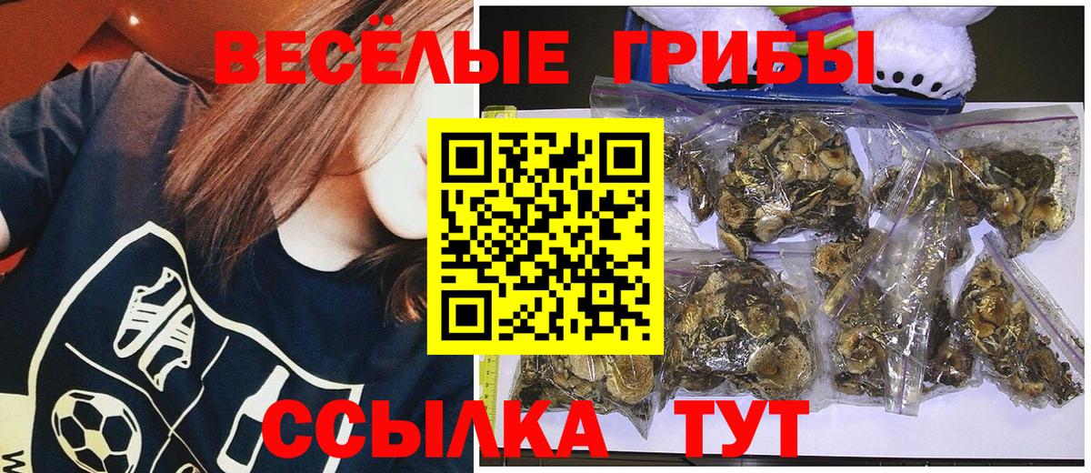 Ногинск  Галлюциногенные грибы мухоморы  Вход с VPN  Псилоцибиновые грибы Psilocybe 