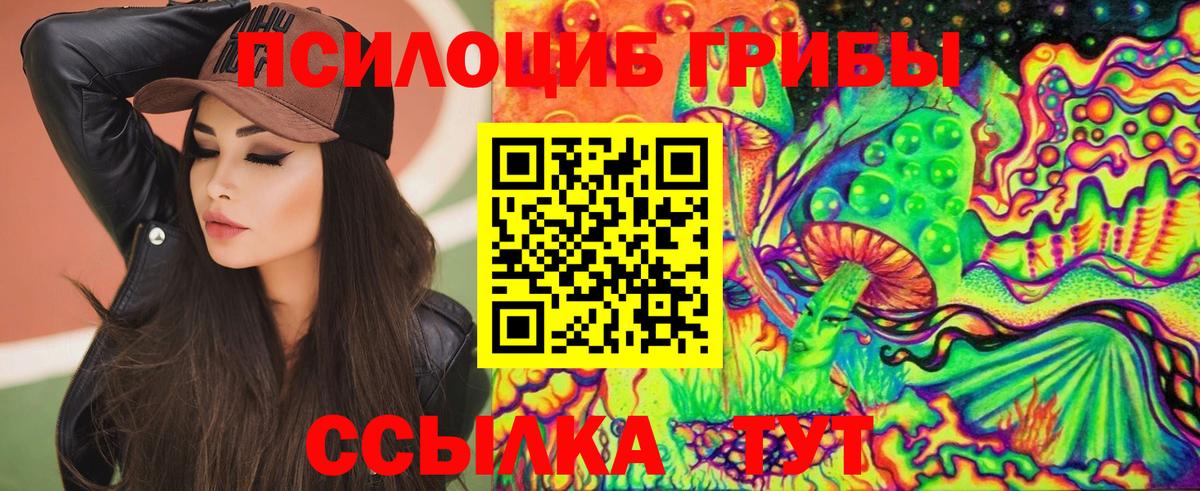 Псилоцибиновые грибы Magic Shrooms Ногинск